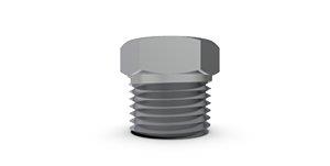 npt-bsp