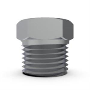 npt-bsp